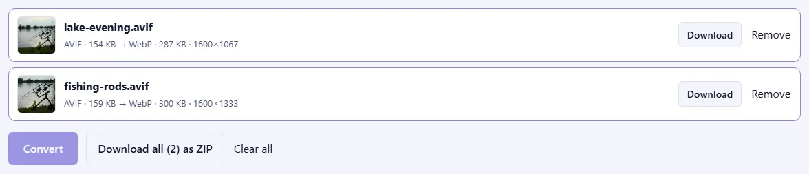 Two converted files with photo previews, their new WebP sizes and dimensions, Download buttons and a “Download all (2) as ZIP” button.