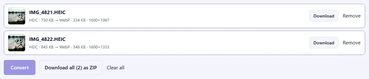 Two converted files with photo previews, their new WebP sizes and dimensions, Download buttons and a “Download all (2) as ZIP” button.
