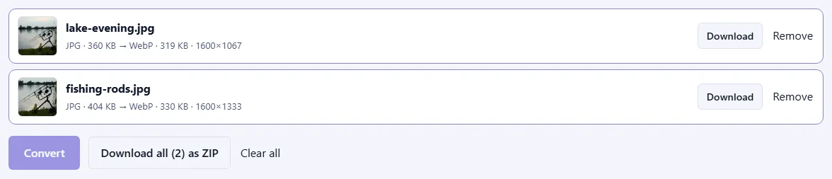 Two converted files with photo previews, their new WebP sizes and dimensions, Download buttons and a “Download all (2) as ZIP” button.