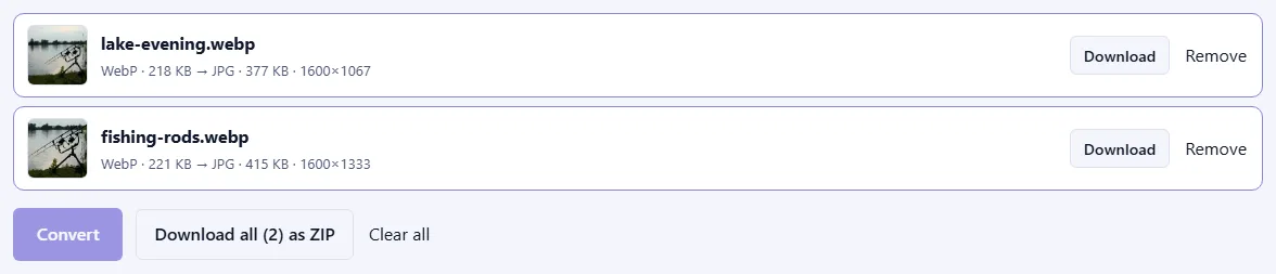 Two converted files with photo previews, their new JPG sizes and dimensions, Download buttons and a “Download all (2) as ZIP” button.